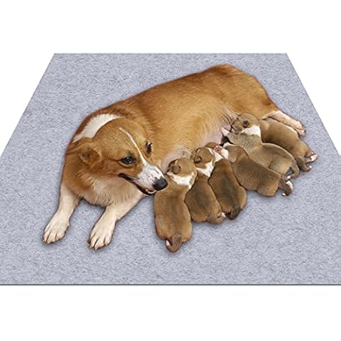 Sszhen Whelping Box Liner Mat,Washable and Reusable Puppy Pad,Premium Absorbent Urine pet Mat,Under The Dog Crate Mat,Protect Your Floor (36×72) Light Gray, 36×72 (Light Gray) Cover