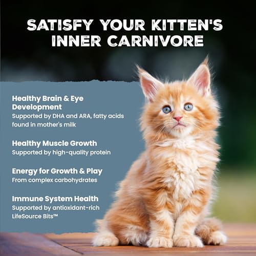 Blue Buffalo Wilderness with Chicken Natural High-Protein Grain-Free Dry Cat Food for Kittens, Real Chicken First, Antioxidant-Rich LifeSource Bits Support Immunity, DHA & ARA for Development, 5 lbs.