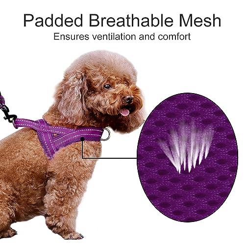 Image of Plutus Pet No Pull Dog Harness for Large Dogs, Breathable Mesh Padded
