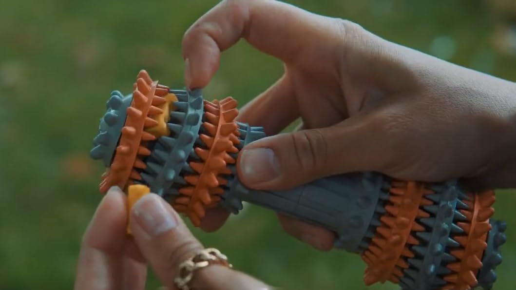 Juguete masticable de goma, juguete de limpieza bucal para perros, juguete de dentición, juguete para perros