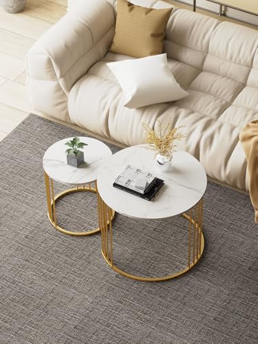 YORKING Nesting Coffee Table Set of 2, Round Table, Morden End Side Table Night Stand for Bedroom Dining Room (Marble white)