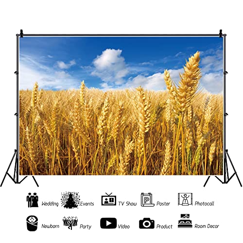 Ttincceer 300x250cm Golden Wheat Field Backdrop Crops Ripe Wheat Blue Sky White Clouds Photography Background Thanksgiving Theme Party Decoration Background - Image 2