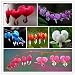 ADB Inc 7 Type 2015 HOT Sale 150pcs Heart Flower Seeds Dicentra Spectabilis Sweet Heart (Heart 01 Mix)