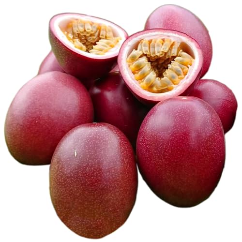 [HARANAGA-FARM]購入かさりパッションフルーツ 家庭用 1kg(10〜15個入り サイズ混在)