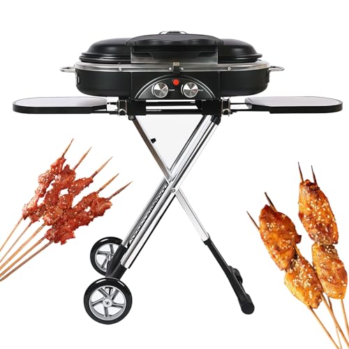 Barbecue À Gaz Portable À Deux Brûleurs, Barbecue À Gaz Compact Traveler avec Thermomètre Intégré, Conception Pliable pour Le Camping/jardin