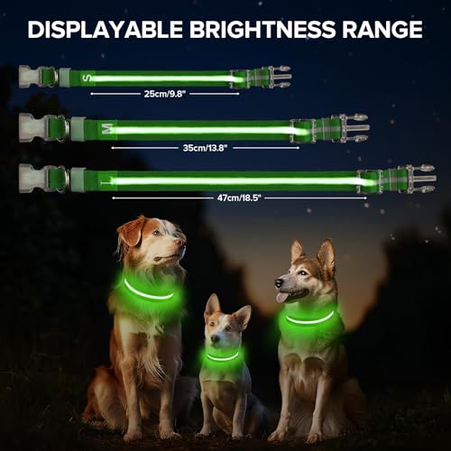 Jewyow Leuchthalsband Hund, Wiederaufladbares LED Hundehalsband für Kleine, Mittelgroße & Große Hunde, Verstellbares Hundehalsband Leuchtend mit Wasserdicht, 3 Modi, Grün-M