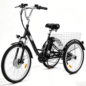 Elektrische driewieler voor volwassenen, M300, 36 V, 15 Ah, afneembare accu, 24 x 2,125 inch, antislip en sterke banden, 7 versnellingen, camping, driewieler