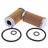 IEQFUE 2PCS Fuel Filter with O-Ring 87300039 83922484 MM404879 SBA360720020 1273082C1 Compatible wit
