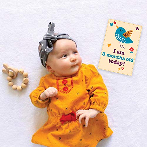 Image of Wobbox Baby Shower Decoration Items| Baby Shower Ceremony Photo Booth Props for Photoshoot, Milestone Crad& Mom to Be Sash, Godh Bharai Ceremony Decoration Kit-(FP455)