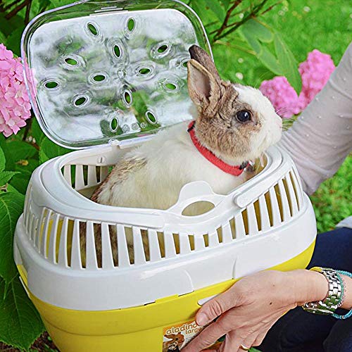 Ferplast Transportbox für Hamster und andere kleine Nagetiere Aladino Large Reisekäfig für Hamster, Farbiger Boden mit transparentem Deckel, 36 x 26 x h 23 cm, grün