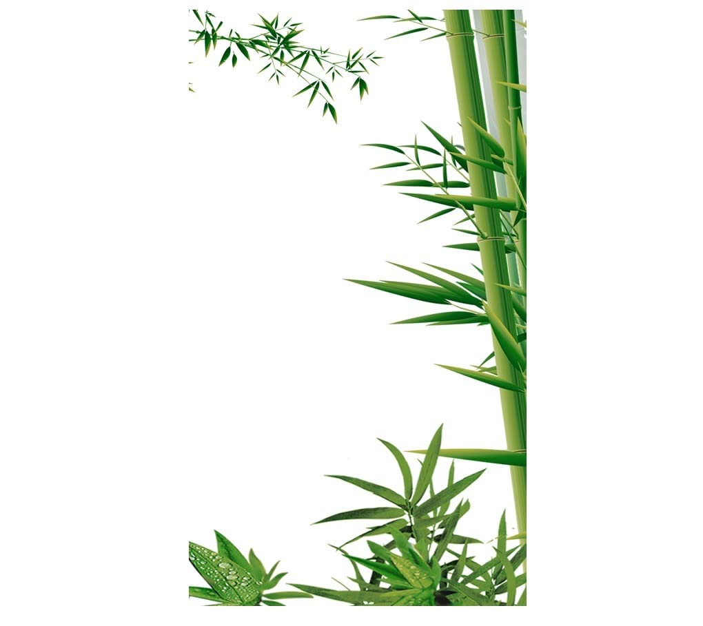 Film déparatif for fenêtres vitrail plantes vertes statique 80x120