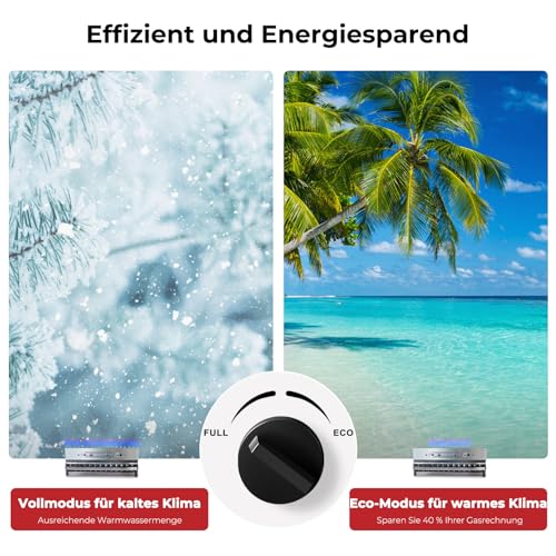 CAMPLUX 20 Liter Gasdurchlauferhitzer, Instant LPG Warmwasserbereiter für Gartendusche, Wohnmobil, BW-Serie BW528B