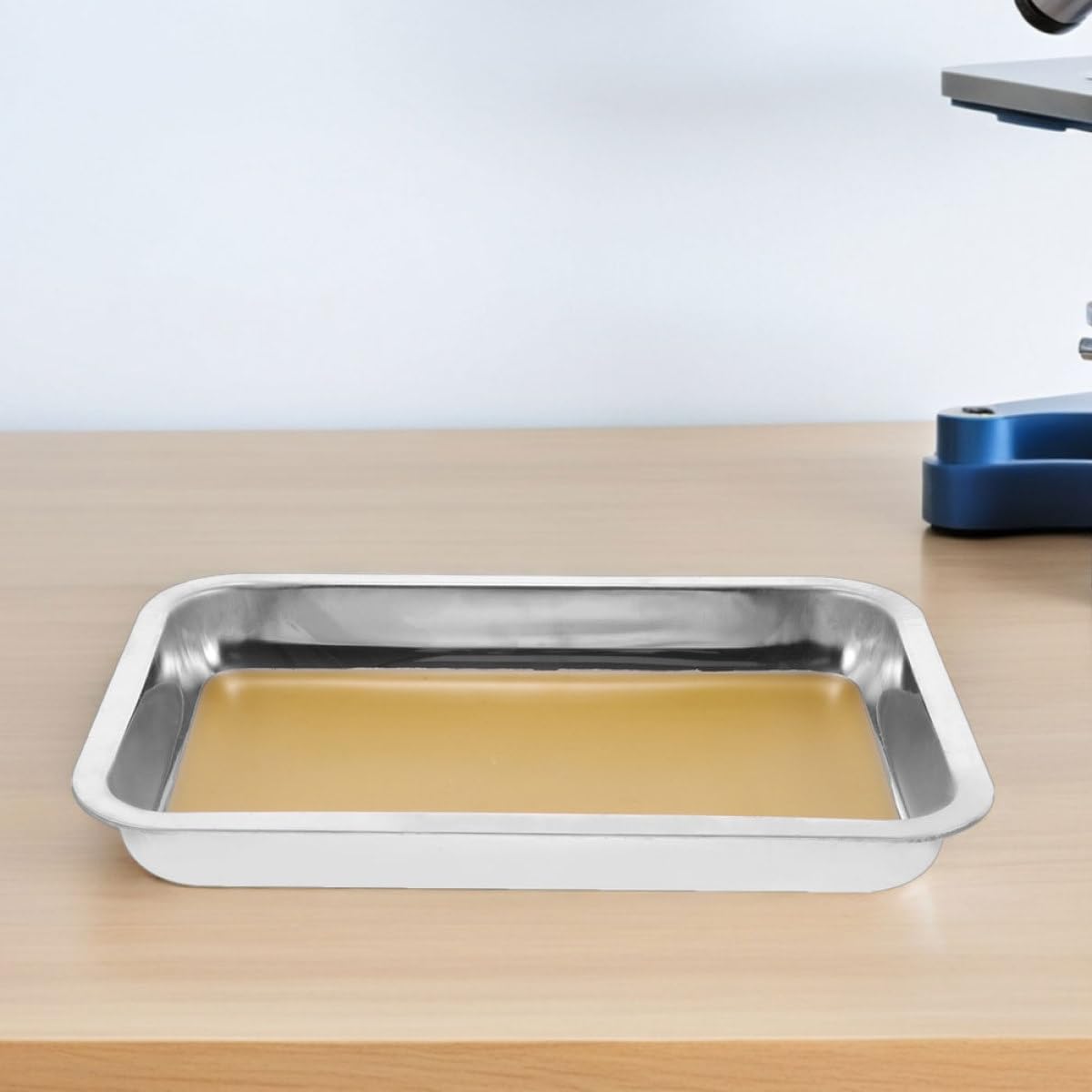 Vassoio da Dissezione A4 in Acciaio Inox Giallo, 2 Pezzi | Diagramma Anatomico Chiaro, Bordi Lisci, Pulizia Semplice, Uso Didattico per Biologia e Studio