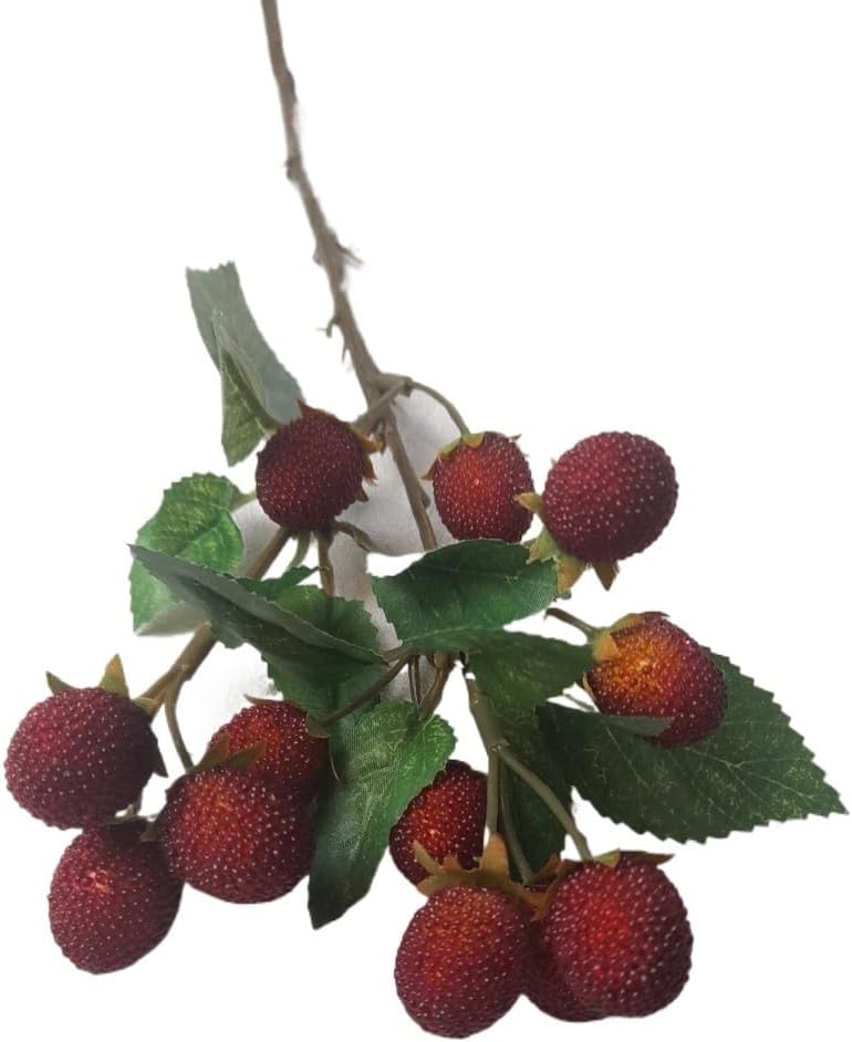 Exotic Dried Flower Bouquet 5 PCS Artificial Red Berry, Artificial Strawberry Stem for Home Garden Kitchen Table Flower Arrangement Decor