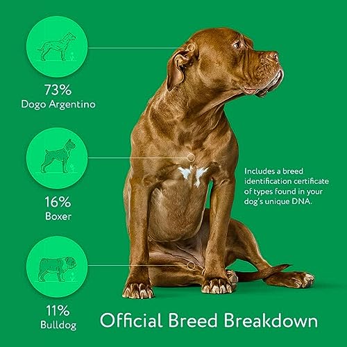 Dna My Dog Essential Test –Breed ID Test Mixed Breed Identification, Personality Traits, for Puppies to Adult Dogs, Non-Invasive Cheek Swab
