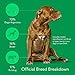 Dna My Dog – Essential Breed ID Test | Accurate DNA Analysis of 350+ Dog Breeds | Easy-to-Use Kit | Non-Invasive Cheek Swab | Results in 2 Weeks | Includes DNA Certificate & Detailed Breed Report