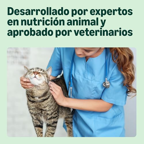 Miniatura 3 de By Amazon - Alimento Seco Completo Para Gatos Adultos Con Pollo, Pavo Y Verduras, 1 Pack De 3 Kg
