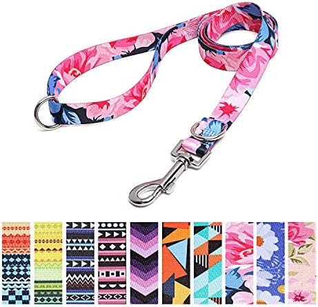 Suredoo Soft Nylon Dog Lead Leash with Colorful Patterns, Comfortable Strong Dog Training Walking Lead Leashes with 2 D-ring for Small Medium Large Dogs, 1.2m × 2.0cm (Pink Flower)