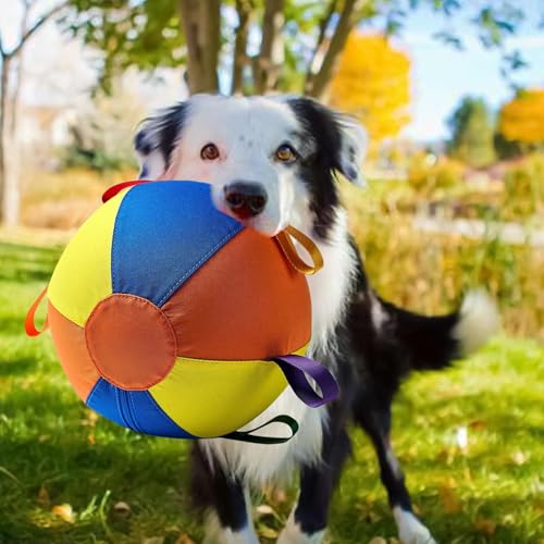 Solution pour mâcheurs destructeurs grâce à cette balle pour chien robuste lavable en piscine d'eau - 7
