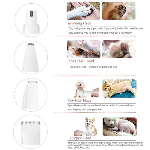 Tondeuse rechargeable pour animaux dotée de 4 têtes interchangeables
