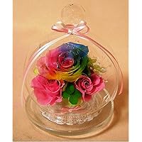 パステルレインボーガーベラ・真珠の涙・ガラスドームアレンジメント パステルレインボーガーベラ・真珠の涙・ガラスドームアレンジメント