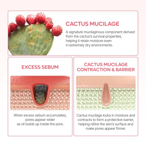 Dr.Melaxin Cactox Pore Dual Capsule Cream – Pore Minimizing Hydrating Face Cream with Cactus Extract, PDRN & Vegan Collagen for Firmness & Skin Repair - Image 6
