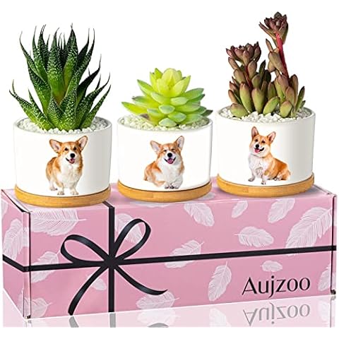 Corgi Gifts for Corgi Lovers - Perfect Dogs Decor for Birthday or Christmas, Our Corgi Succulent Planters are Great for Corgi Lovers who Love Corgi Stuff, Arrive Beautiful Gift Boxes Cover