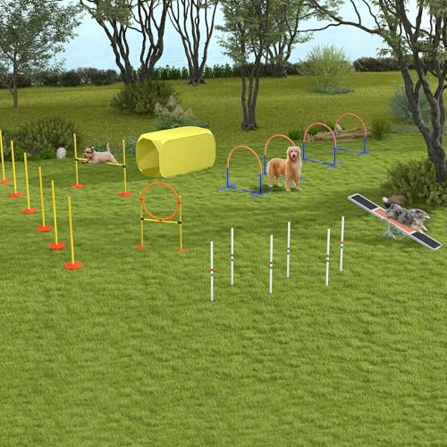Expert Tips for Dog Seesaw Usage