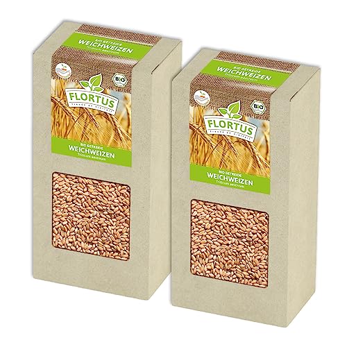 FLORTUS BIO Weichweizen Getreide Samen 400g | Ertragreicher Weizen zur Herstellung von Mehl Weizenkleie Katzengras & Microgreens | Sprossen Samen