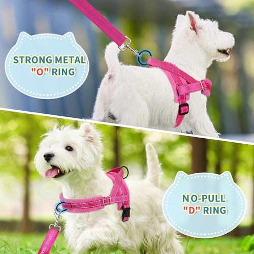 SlowTon No Pull Small Dog Harness and Leash Set, Puppy Soft Vest Harness Neck & Chest Adjustable, Reflective Lightweight Harness & Anti-Twist Pet Lead Combo for Small Medium Dogs (Fuchsia, XXS) - Image 5