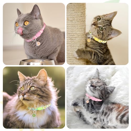 Image of 3 Pack Breakaway Cat Collars with Bell- Daisy Pendant Spring Cat Collar for Girl Boy Cats with Safety Buckle- Cute Kitten Collar Adjustable 8 inch-12 inch for Kitty Puppy Small Pets
