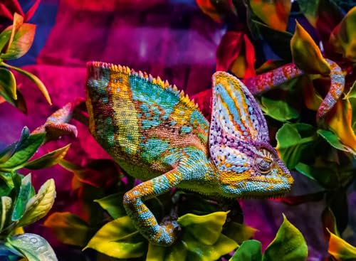 Puzzle 500 pièces : Caméléon Ravensburger France - vue 4