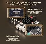 VIDOO Audio XY-T2001P Mono Wzmacniacz Bluetooth 200W DC 12-30V WAV FLAC APE MP3 Regulacja TWS True Wireless-Zintegrowany Potencjometr
