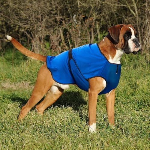 Lautus Pets Hundekühlwesten, Leichte Sommerjacke für Kleine Hunde mit Reißverschluss & Klett, Einfach An-/Auszuziehen für Spaziergänge & Draußen - XXL