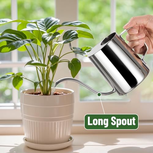 Image of Watering Can for Indoor Plants, Indoor Watering Can with Long Spout and Handle Rust-Proof 304 Stainless Steel Material (600ml /20oz)