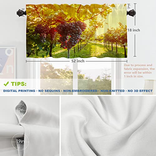 Shrahala Wine Country California Kitchen Valances Half Window Curtain, Sangiovese Grapes In Vineyard Kitchen Valance For Window Ink Printing Kitchen Valances Curtains For Kitchen Decor 52X18 Inch #TOP4