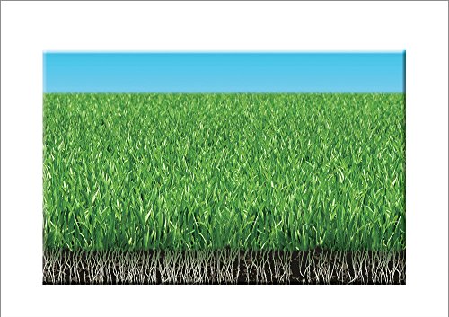 COMPO graszaad, spel en sport, universele grasmix 8 kg Graszaad, spel en sport. 11 x 35 x 64 cm geel - Afbeelding 6