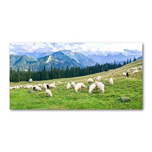 Toile paysage vert 120x60 cm pour habiller un mur vide avec les Tatras et moutons