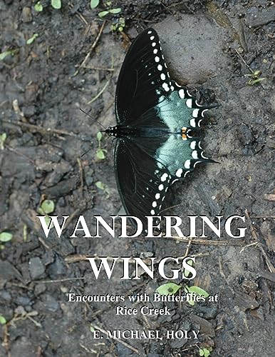 Wandering Wings: Encounters with Butterflies at Rice Creek