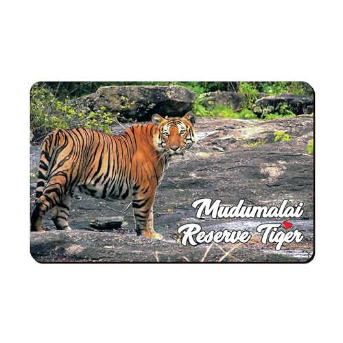 Image of Elegant Fridge Magnet with Themes |Rectangular Size Refrigerator Magnet with Magnetic Rubber Back | Pack of 1, 8.6cm X 5.4cm (Mudumalai Reserve Tiger)