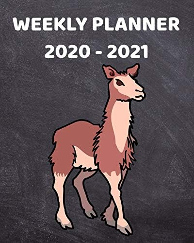 2020-2021 Weekly Planner: 2 Year Weekly & Monthly View Organizer ...