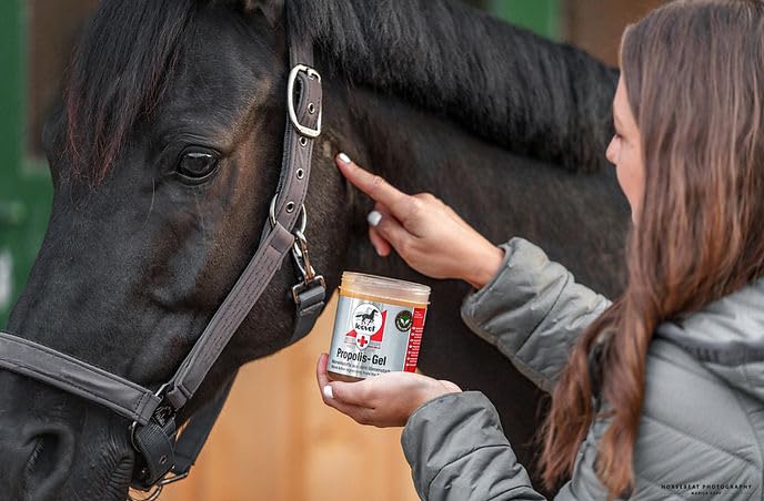 Leovet Propolis-Gel | 350 ml | Hautpflegemittel für Pferde & Ponys | Mit Propolis aus dem Bienenstock