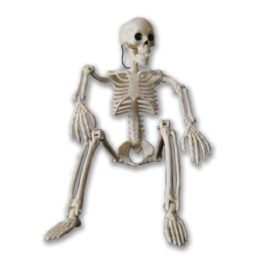 NovEnyHalloween Skeleton Decoration - Perfect for Party, Haunted House, Escape Room Decor