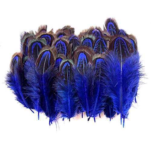 50 pcs Natural Pheasant Plumage Feathers 2-3 Inches Plumage Feathers for Sewing Crafts Clothing Decorating Accessories -Royal Blue