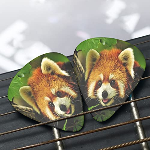 Lot de 12 médiators motif panda rouge pour guitare basse électrique et acoustique - Les Beatles, Paul McCartney, John Lennon, RIngo Starr, George Harrison Lot de 12 médiators motif panda rouge pour guitare basse électrique et acoustique – Image 8