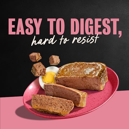 Cesar Classic Loaf Wet Dog Food, Breakfast Selects, 3.5 oz, 12 count, 2-pk | Bacon & Egg & Egg & Sausage flavors, real pork #1 ingredient, no fillers/artificial flavors, easy to digest, easy peel trays - image 9