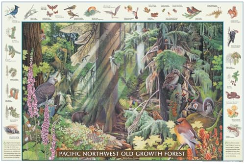 Charting Nature Pacific Old Growth Forest Identification Chart, 24x36 inches,