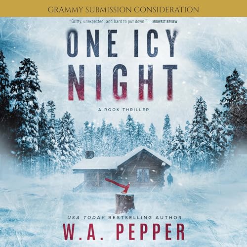 Couverture de One Icy Night