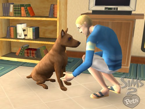 The Sims 2 Pets - Nintendo Wii (Renewed)