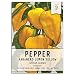 Package of 100 Seeds, Lemon Habanero Pepper (Capsicum chinense) Non-GMO Seeds by Seed Needs